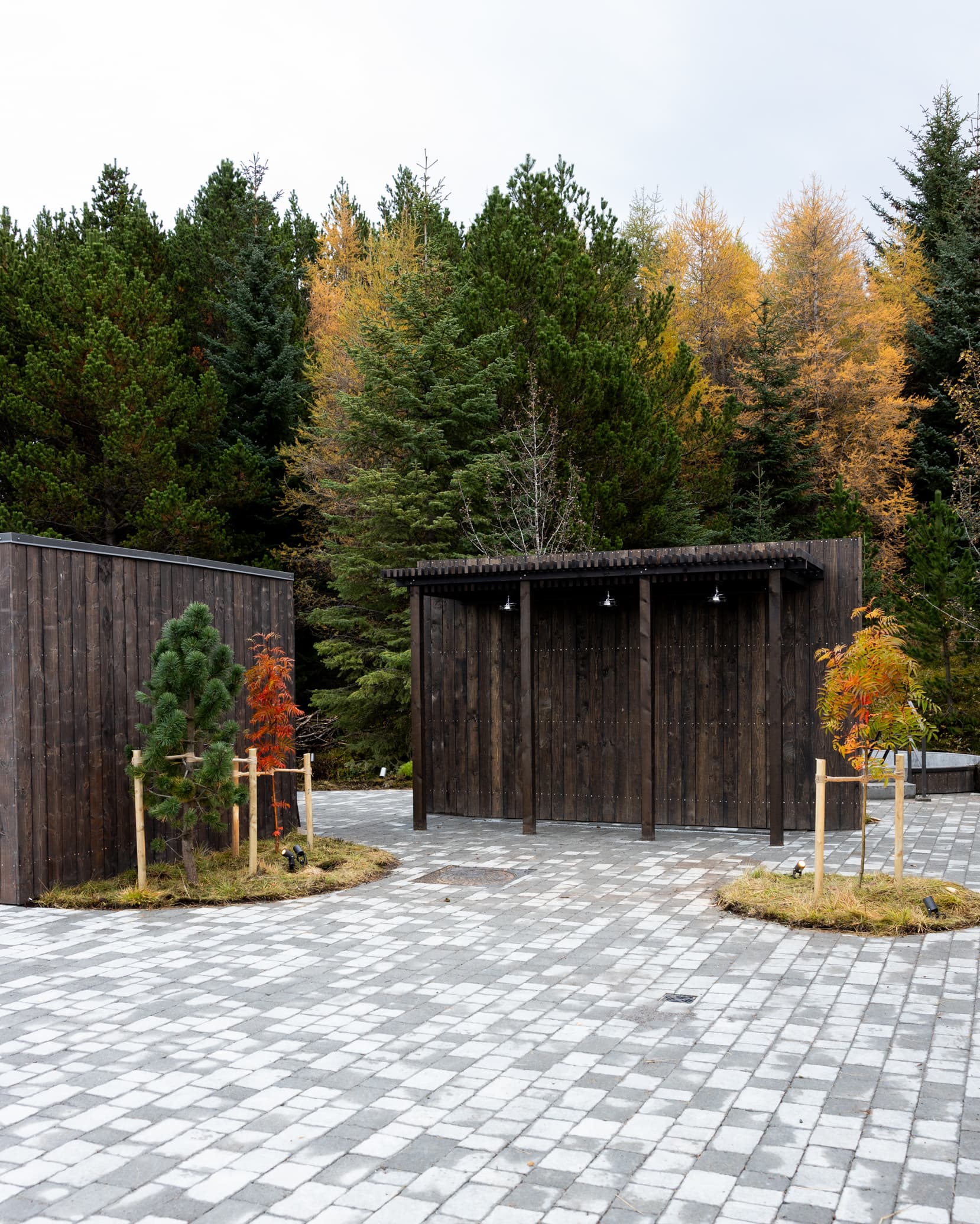 Birki - Standard entry